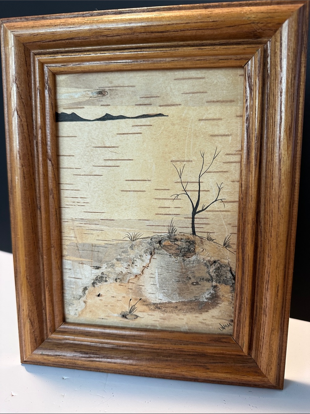 Handcrafted Birch Bark Landscape Art in Wooden Frame
